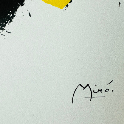 Joan miro