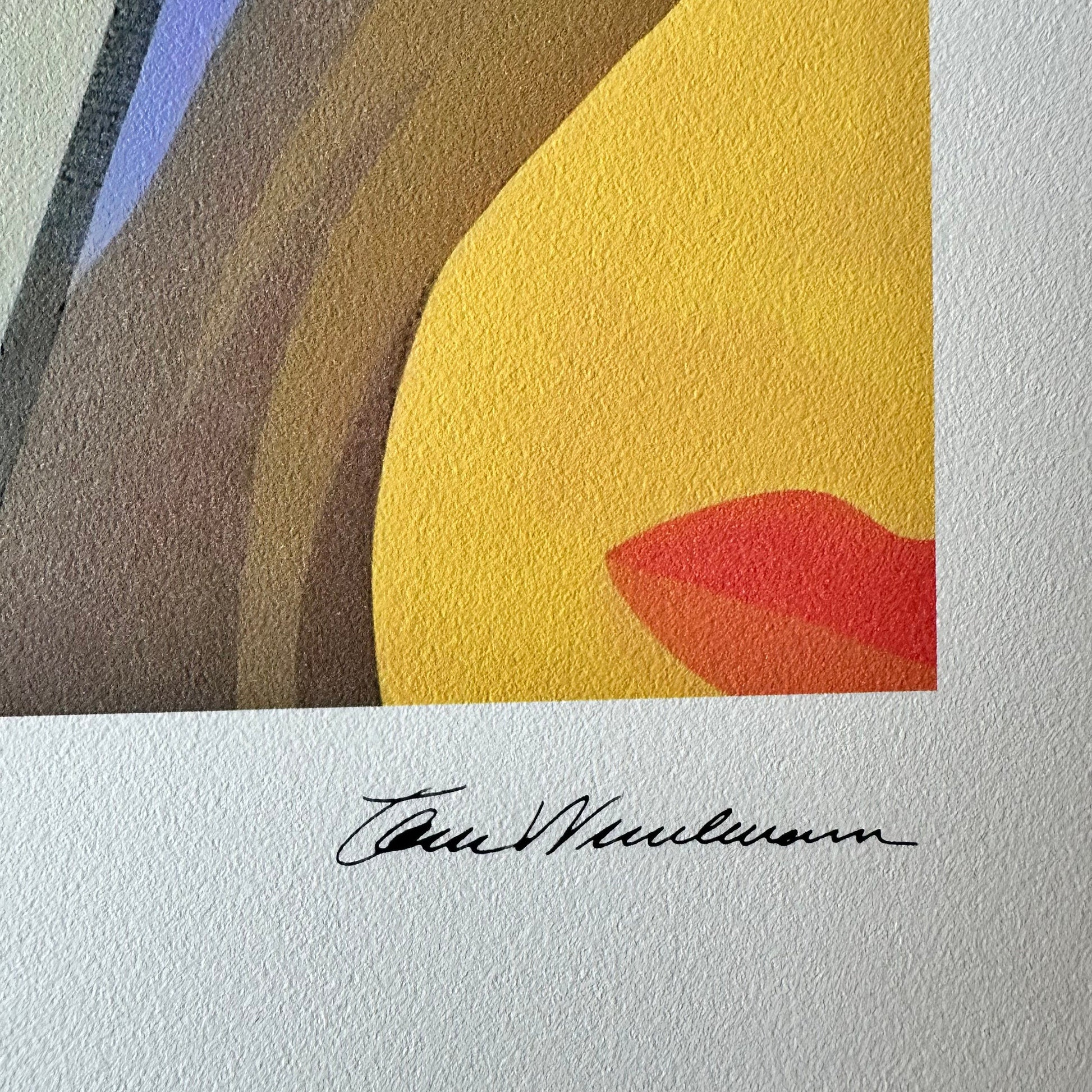 Genummerde editie TOM WESSELMANN Sunset flower Nude - Certificaat - Limited lithografie - Pop art --